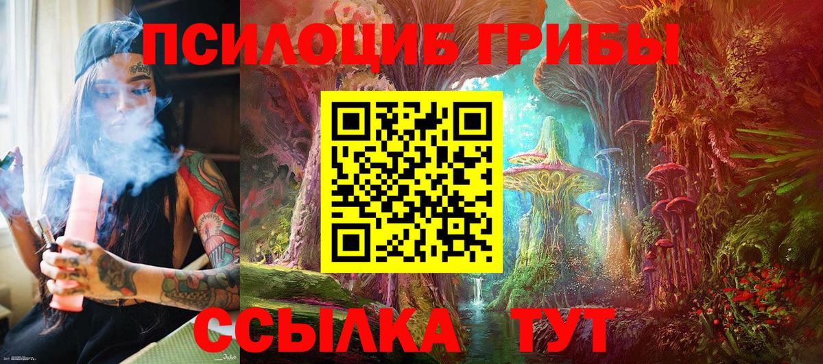 Гай  Галлюциногенные грибы ЛСД  где продают   Вход с VPN 