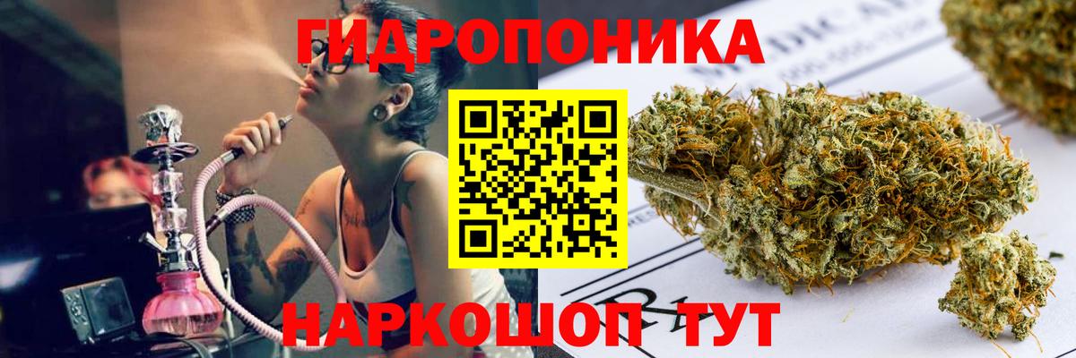 Бошки марихуана марихуана Гай